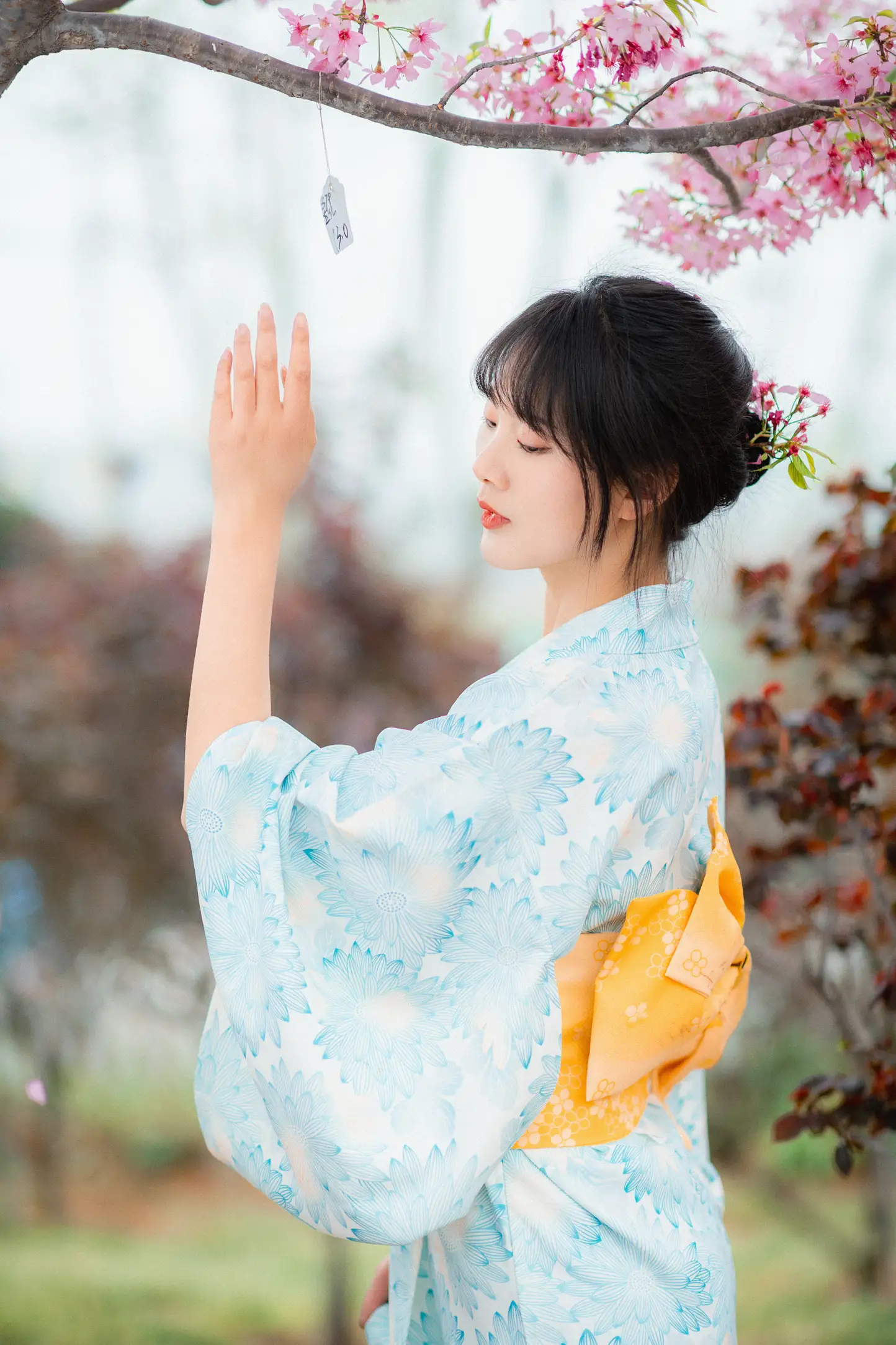 [YITUYU] 2022.11.19 Vol.2478 – Under the Sakura Tree Meimei who loves taking photos#[23P]-13